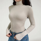 Lira – Fitted Sweater with Turtleneck in Stripes and Long Sleeves